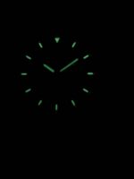 Seiko 5 Sports SNZG11K1-var-LS17 Automatic Brown Leather Strap Men's Watch