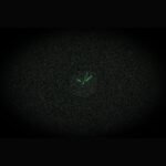 Skagen Mellem Lille Stainless Steel Silver Dial Quartz SKW3159 Women's Watch