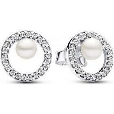 Pandora Sparkling Double Hoop Earrings (293154C01) Women JEWELRY