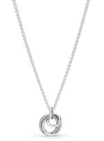 Pandora Family Always Encircled Pendant Necklace (391455C01-60) Women JEWELRY