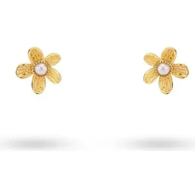 24KAE by Kae Sutherland Jewels Women's Earrings (42464Y ) - Jewellery