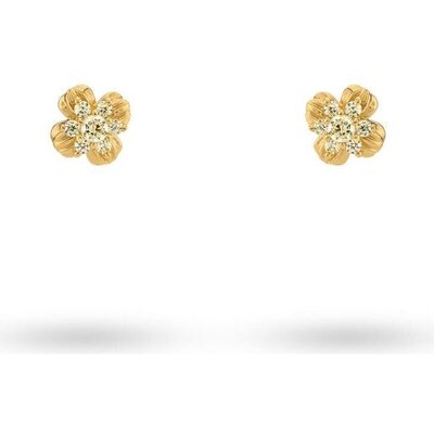 24KAE by Kae Sutherland Jewels Women's Earrings (42497Y ) - Jewellery