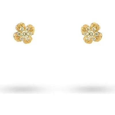 24KAE by Kae Sutherland Jewels Women's Earrings (42497Y ) - Jewellery