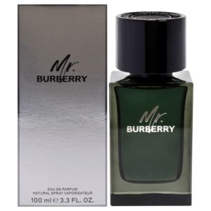 Burberry Mr. Burberry for Men 3.3 oz Eau de Parfum Spray