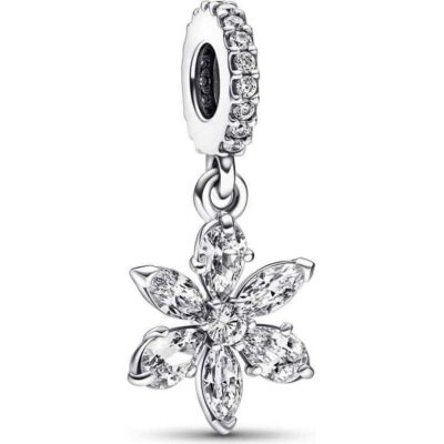 Pandora Sparkling Herbarium Cluster Dangle Charm (792382C01) Women JEWELRY