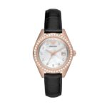 AR11505 (AR11505) Women WATCHES