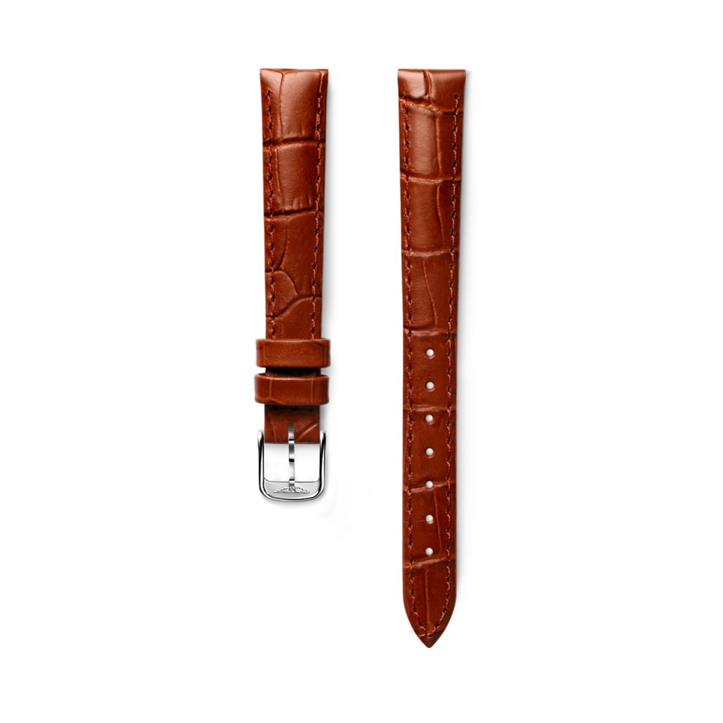 Swatch Watch strap (AYCS429E)