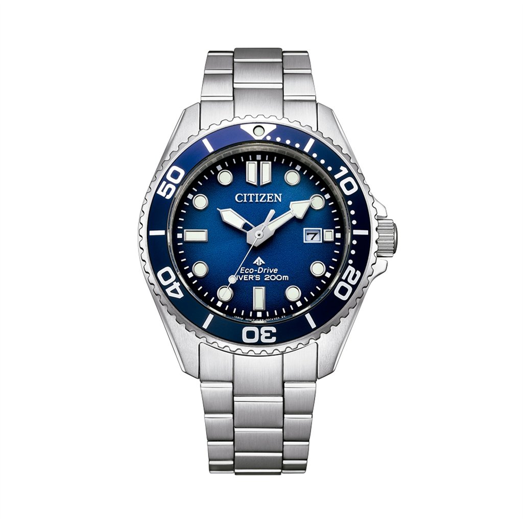 Citizen Men's Watch (BN0260-54L)