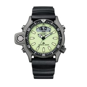 Citizen Watches Jp2007-17w (JP2007-17W) Unisex WATCHES