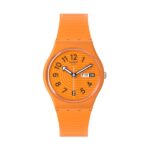 SWATCH TRENDY LINES IN SIENNA (SO28O703) Unisex WATCHES