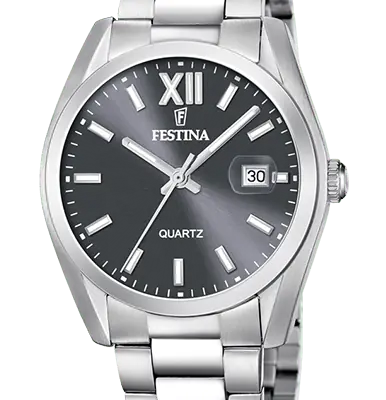 Festina Classic Stainless Steel Grey Dial Quartz F20707-3 Men's Watch