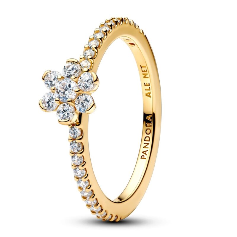 Pandora Jewelry 164499c01-54 (164499C01-54) Women JEWELRY