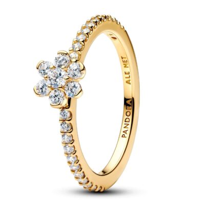 Pandora Jewelry 164499c01-56 (164499C01-56) Women JEWELRY