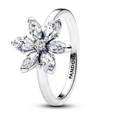 Pandora Jewelry 193000c02-54 (193000C02-54) Women JEWELRY