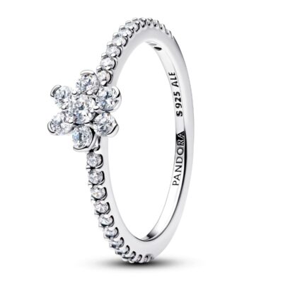 Pandora Jewelry 194499c01-52 (194499C01-52) Women JEWELRY