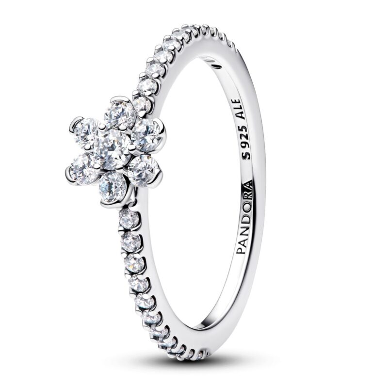 Pandora Jewelry 194499c01-54 (194499C01-54) Women JEWELRY