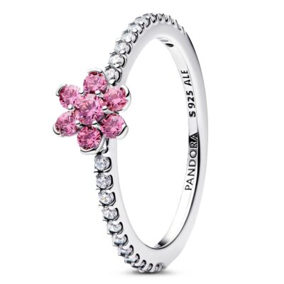 Pandora Jewelry 194499c02-54 (194499C02-54) Women JEWELRY