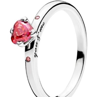 Pandora You & Me Ring (196574CZRMX-52) Women JEWELRY