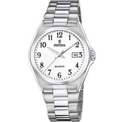 Festina Men's 43mm Stainless Steel Watch (F20552_1)