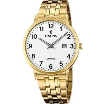 Festina Men's 40mm Gold-Plated Watch (F20513_1)