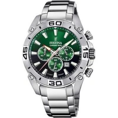 Festina Men's Stainless Steel Watch (F20543_3)