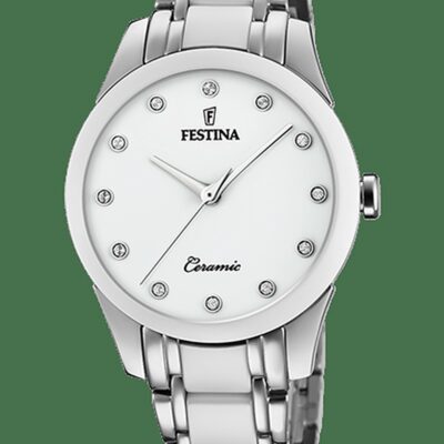 Festina Men's 46mm Stainless Steel Watch (F20499_1)