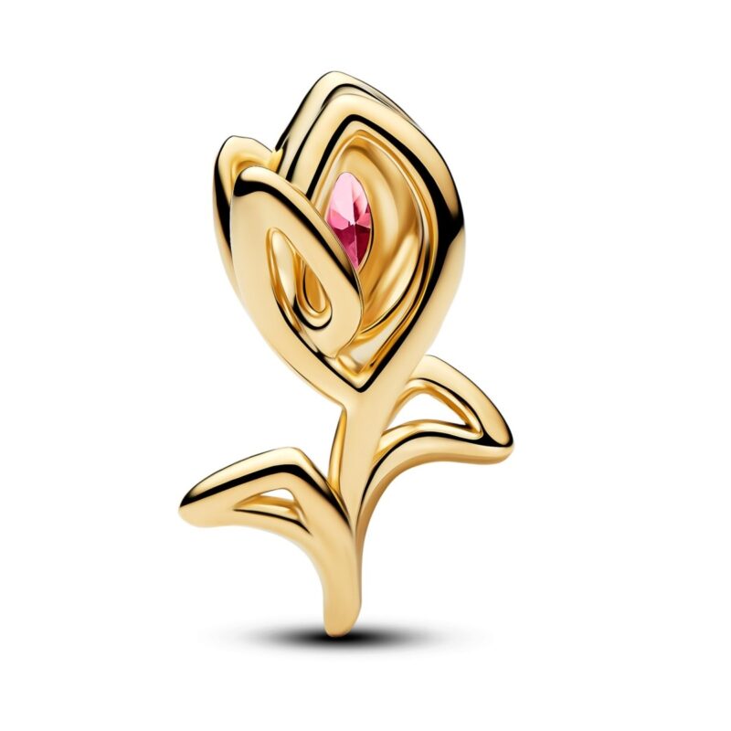 Pandora Jewelry 764555c01 (764555C01) Women JEWELRY