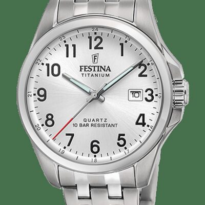 Festina Men's Titanium Watch (F20696_1)