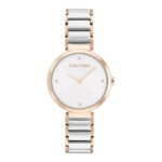 Calvin Klein Minimalistic 25200139 Ladies Watch