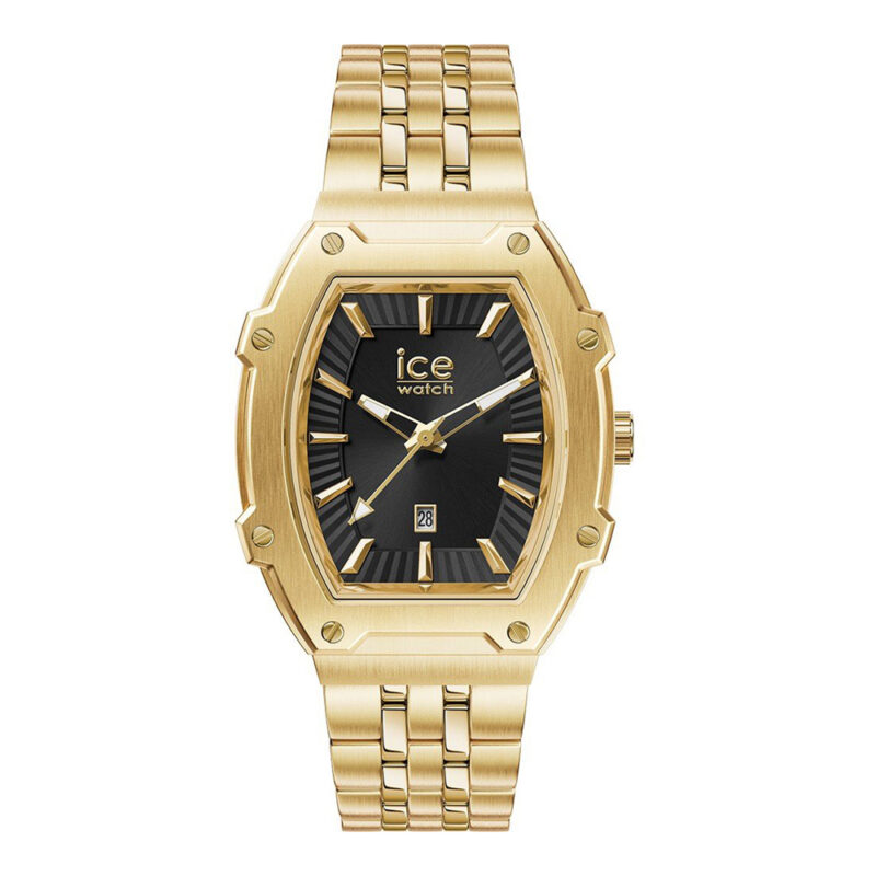 ICE Watch Boliday 024551 Ladies Watch