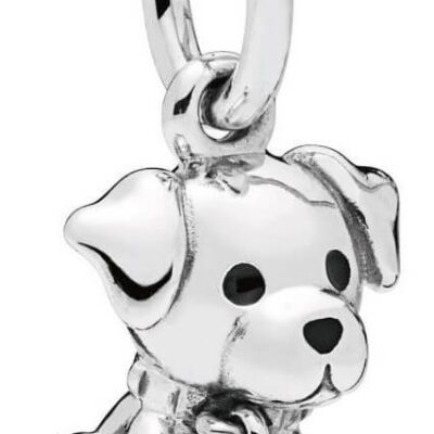 Pandora Labrador Puppy Dog (798009EN16) Women JEWELRY