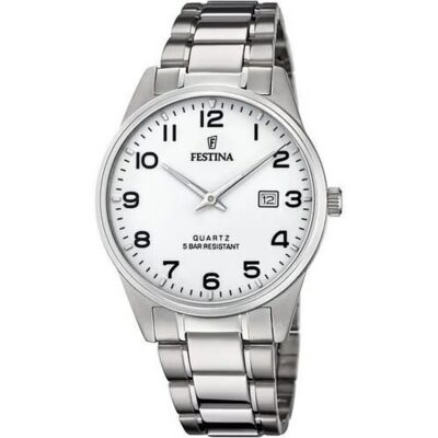 Festina Men's Stainless Steel Watch (F20511_1)