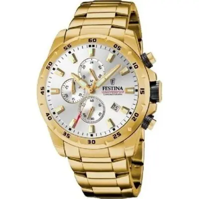 Festina Men's Watch (f20541_1)