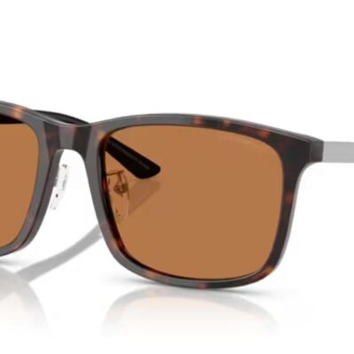 Emporio Armani Ea 4241d (EA 4241D_502673_57) Men EYEWEAR