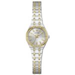 Guess Watches Gw0931l3 (GW0931L3) Unisex WATCHES