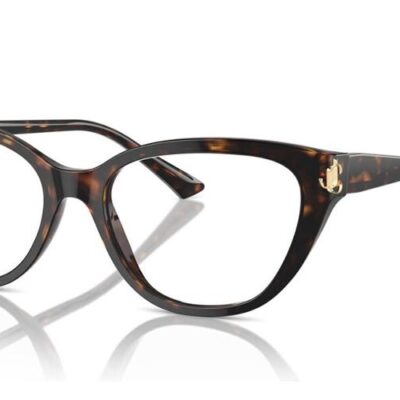 Jimmy Choo Jc 3011 (JC 3011_5002_54) Women EYEWEAR