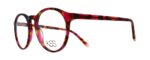 Signature Kis1806-334-49 (KIS1806-334-49) Women EYEWEAR