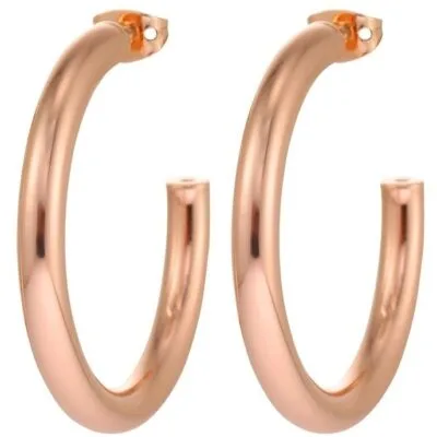 Michael Kors Fashion Jewels Small Hoop (MKJ831300791) Women JEWELRY