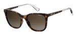 Polaroid Pld 4059_s (PLD 4059_S_086-LA_53) Unisex EYEWEAR
