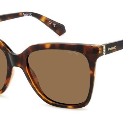 Polaroid Pld 4155_s_x (PLD 4155_S_X_086-SP_55) Unisex EYEWEAR