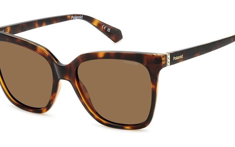Polaroid Pld 4155_s_x (PLD 4155_S_X_086-SP_55) Unisex EYEWEAR