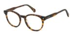 Polaroid Pld D519 (PLD D519_086_50) Unisex EYEWEAR