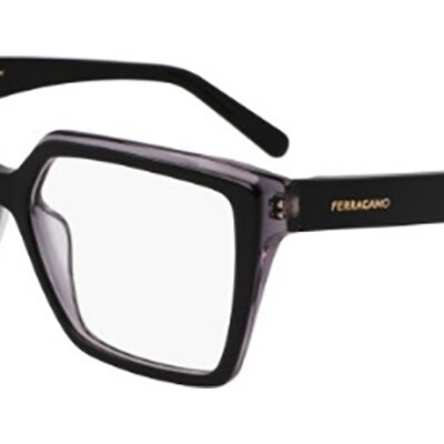 Salvatore Ferragamo Sf2950n-022-54 (SF2950N-022-54) Women EYEWEAR