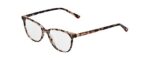 Siralya Sir1905-804-49 (SIR1905-804-49) Women EYEWEAR