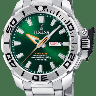 Festina Men's Stainless Steel Watch (F20665_2)