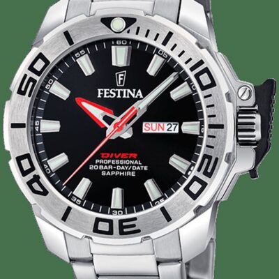 Festina Men's Stainless Steel Watch (F20665_4)