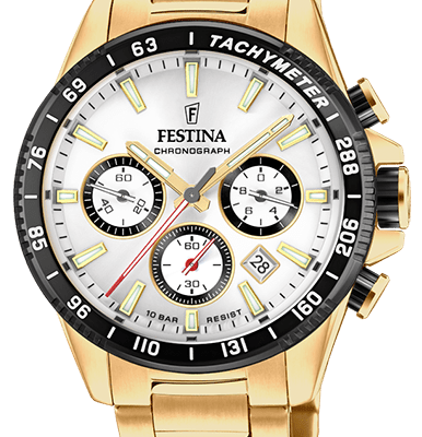 Festina Men's Watch (F20634_1)