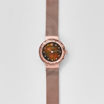 Skagen Leonora 456SRR1 Women's Analog Dial Quartz Watch - eBay - Tia