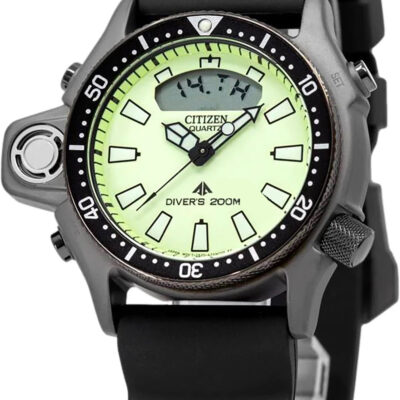 Citizen Unisex Watch (JP2007-17W)