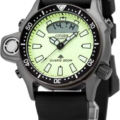 Citizen Unisex Watch (JP2007-17W)